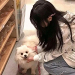 苍青之幻手游下载